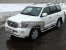 Пороги овальные с проступью 120х60 мм Toyota Land Cruiser 200 2012